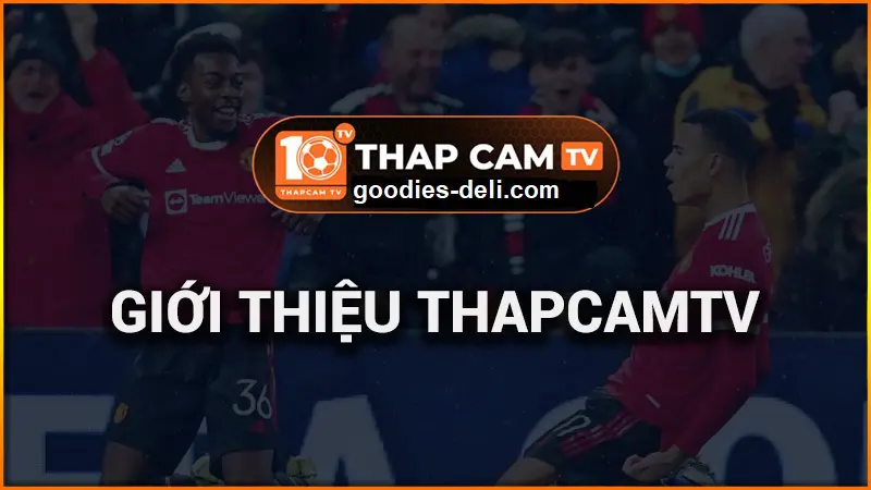 thapcamtv