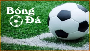 trang-bong-da