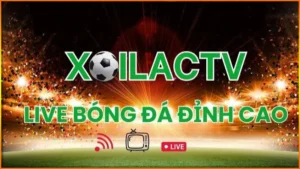 xoilactv-1