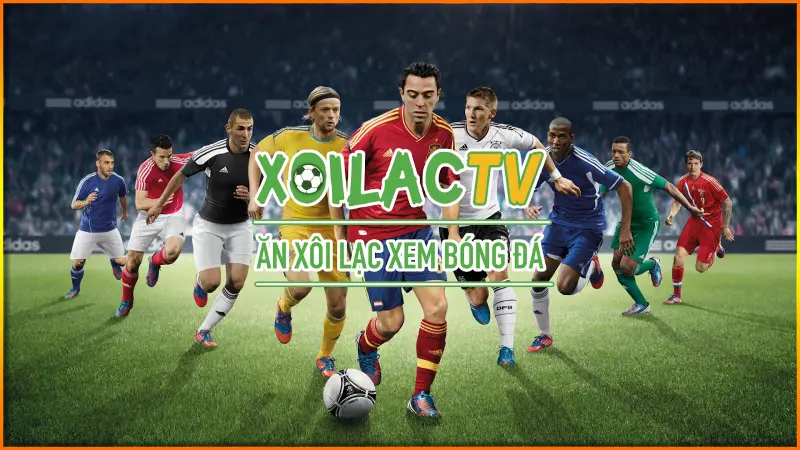 xoilactv-3
